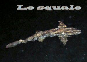 squalo